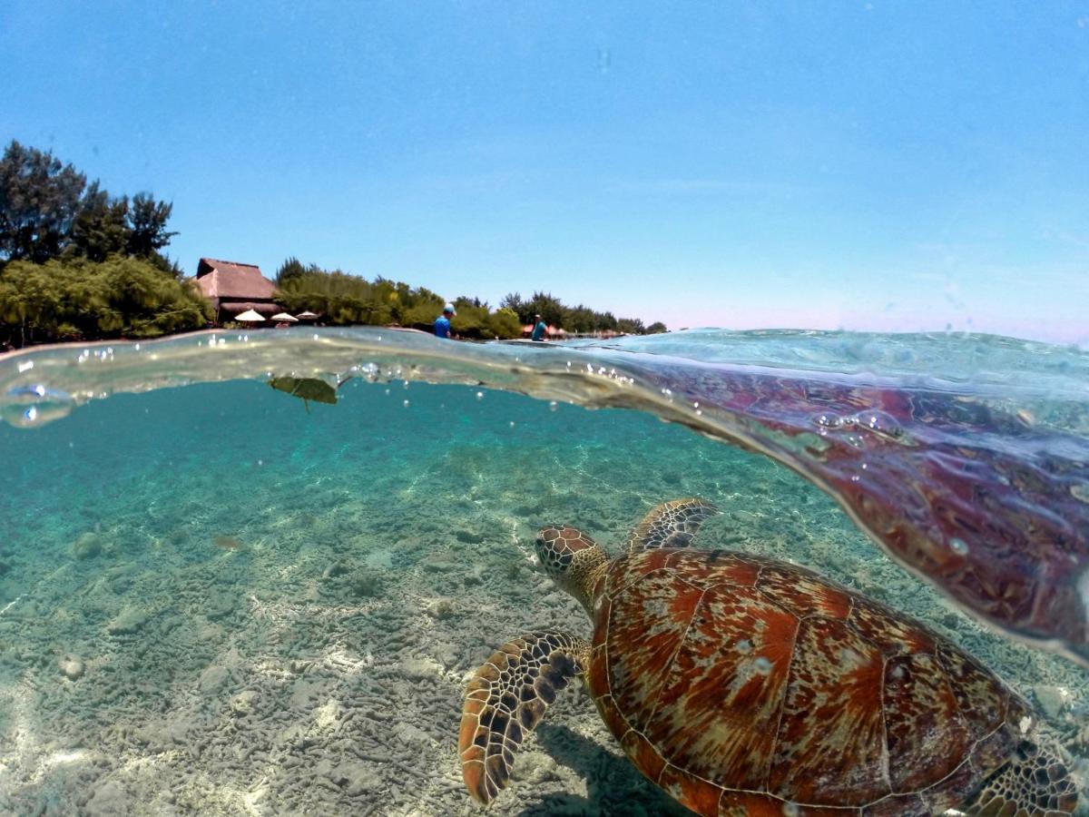 Mimpi Bungalow Gili Meno Exterior photo